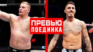 UFC 295: Павлович vs Аспинэлл - Превью боя