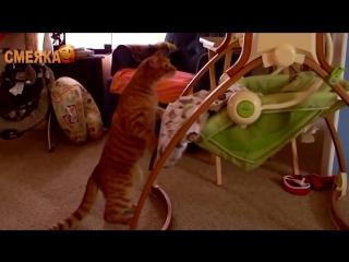 Приколы июнь 2016 №77