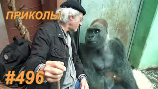 Приколы август 2019 №496
